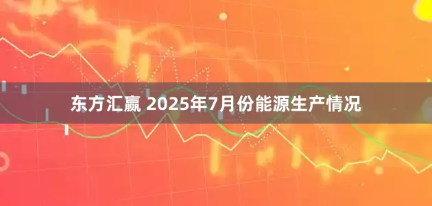 东方汇赢 2025年7月份能源生产情况