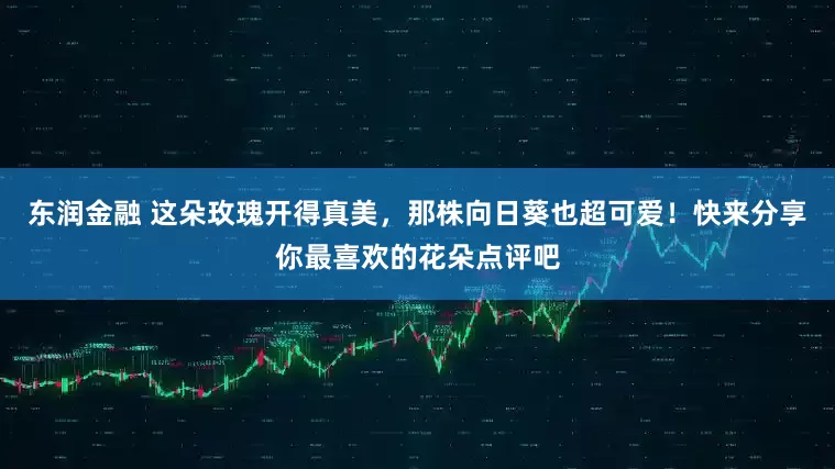 东润金融 这朵玫瑰开得真美，那株向日葵也超可爱！快来分享你最喜欢的花朵点评吧